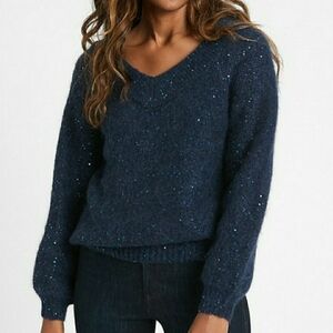 Navy Blue Sequin Winter Sparkle V Neck Sweater Alpca Banana Republic Pull Over